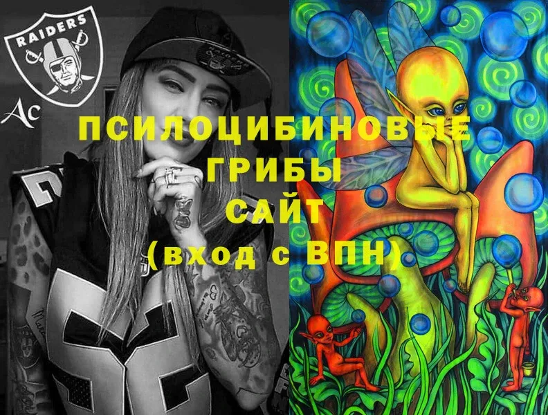 Галлюциногенные грибы Magic Shrooms  Струнино 